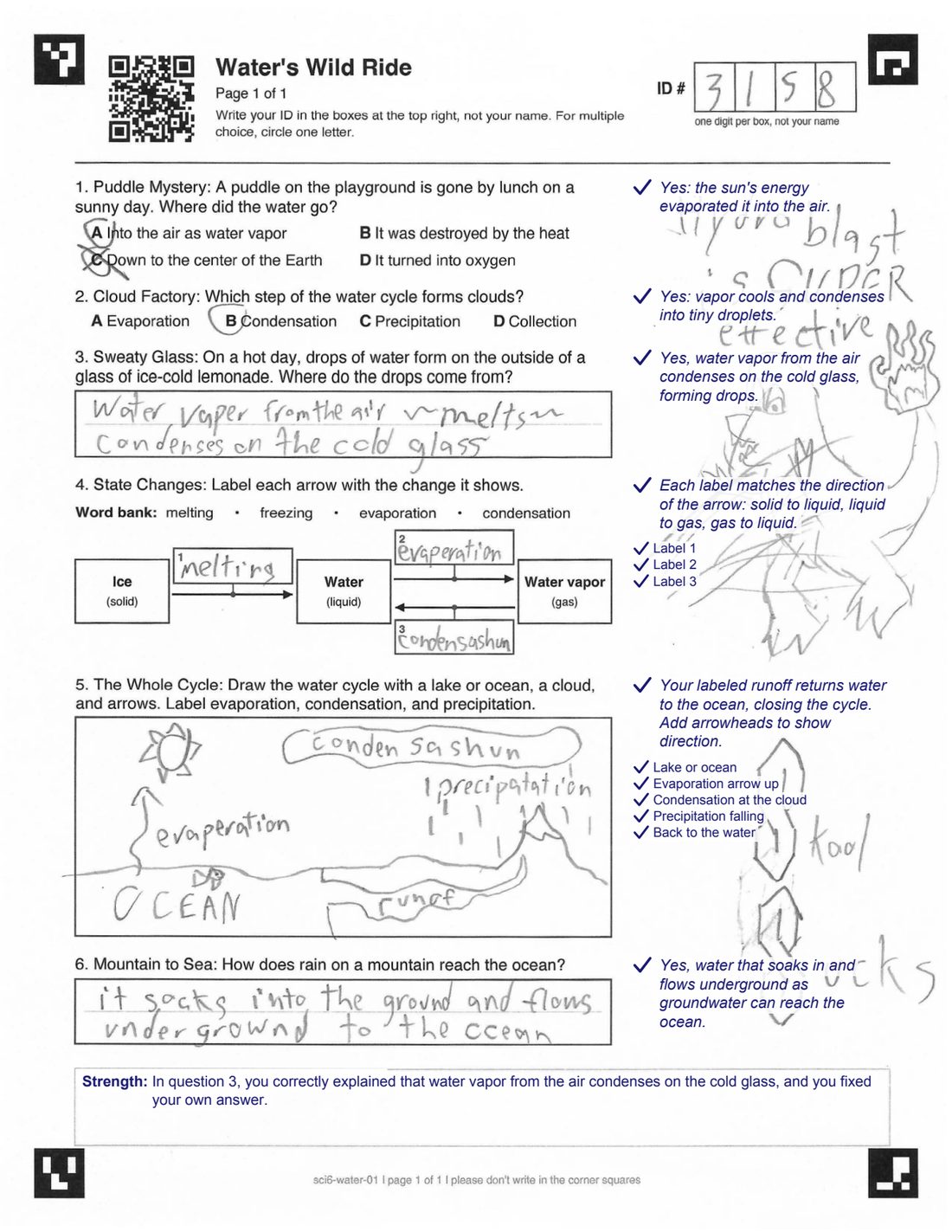 A water cycle worksheet filled in by hand, with doodles in the margin. Beside each answer is a short typed comment, such as “Yes, water vapor from the air condenses on the cold glass, forming drops.” A summary box at the bottom names one strength.